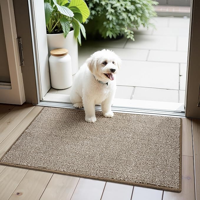 GRANNY SAYS Front Door Mat Outside Entrance, Door Mats for Entryway, Welcome Matt Non-Slip, Entryway Front Porch Mat Low Profile Resist Dirt Easy to Clean, 32"x20", Khaki Beige