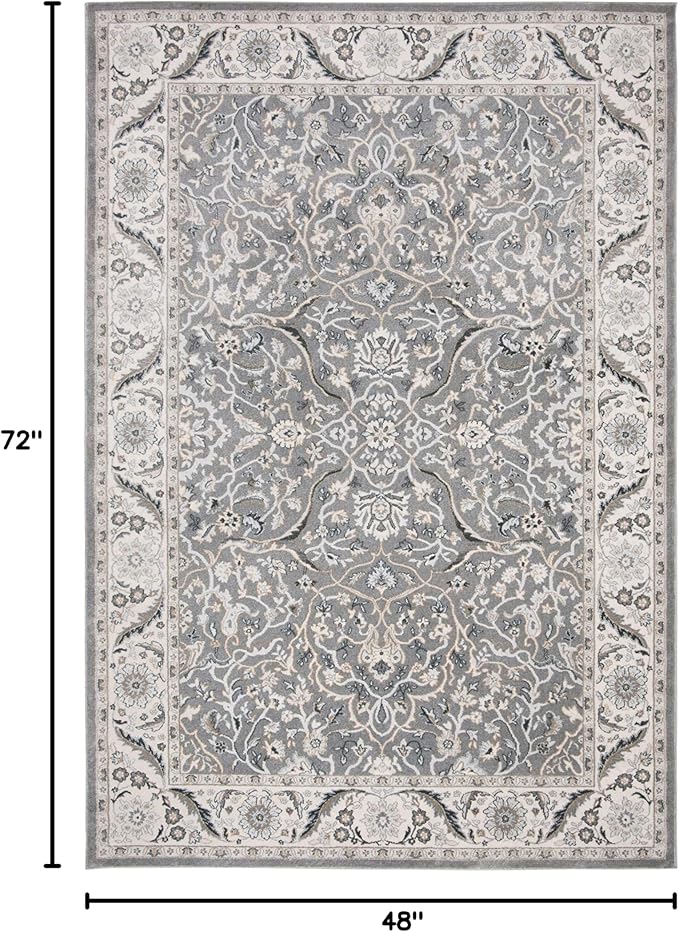 SAFAVIEH Isabella Collection Accent Rug - 4' x 6', Grey & Dark Grey, Oriental Design, Non-Shedding & Easy Care, Ideal for High Traffic Areas in Entryway, Living Room, Bedroom (ISA912H)