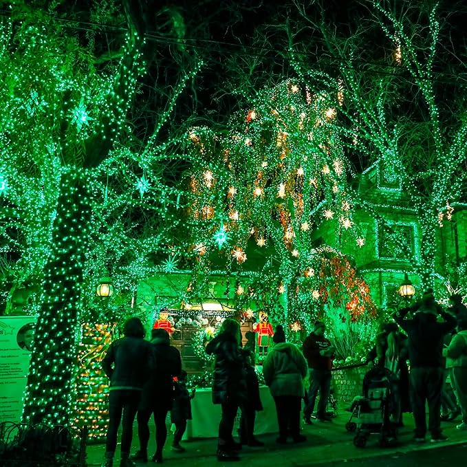 Dazzle Bright Fairy Lights Battery Operated, 20 FT 60 LED Silver Wire St. Patrick's Day Waterproof Battery Operated String Lights, Christmas Decorations for Indoor Outdoor Bedroom Yard Decor, Green
