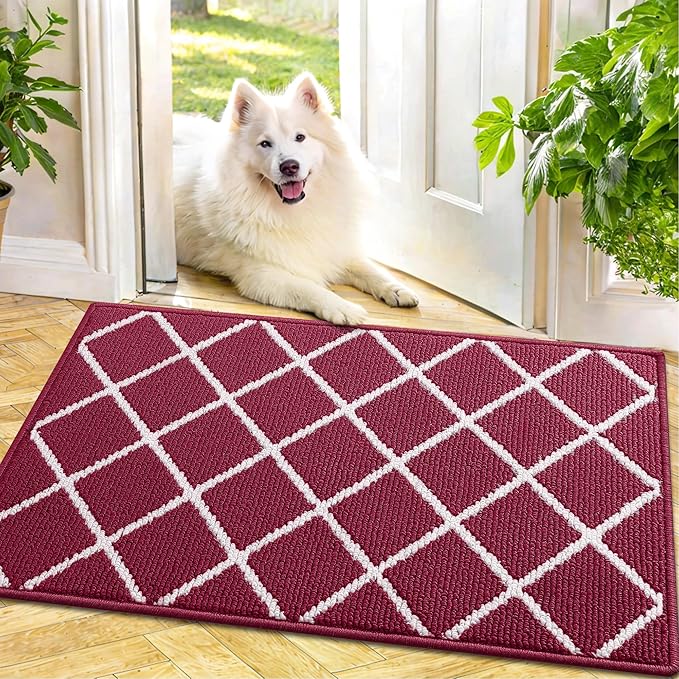Finchitty Indoor Door Mat, Dirt Resistant and Absorbent, Low-Profile, Non-Slip, Washable Inside Floor Mats for Front Door, Back, and Entrance, 30" x 17", Burgundy