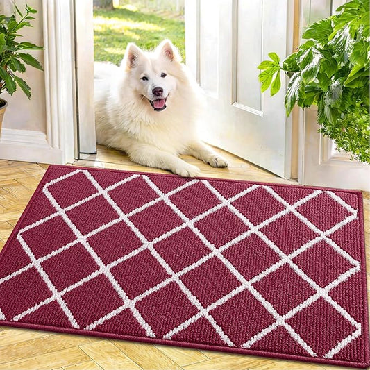 Finchitty Indoor Door Mat, Dirt Resistant and Absorbent, Low-Profile, Non-Slip, Washable Inside Floor Mats for Front Door, Back, and Entrance, 30" x 17", Burgundy