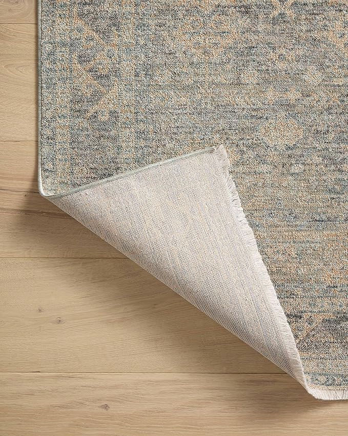 Loloi Angela Rose Blake Collection BLA-01 Sky/Beige 2'-0" x 3'-0", .25" Pile Height, Fringe, Accent Rug
