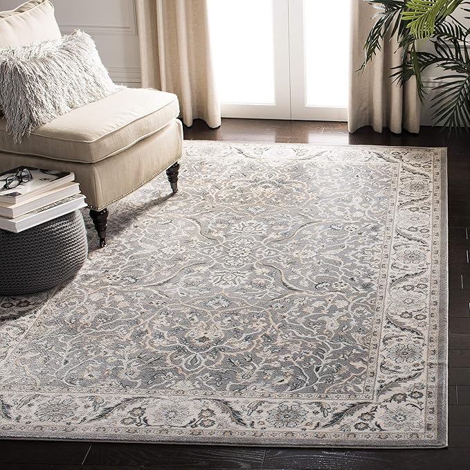 SAFAVIEH Isabella Collection Accent Rug - 4' x 6', Grey & Dark Grey, Oriental Design, Non-Shedding & Easy Care, Ideal for High Traffic Areas in Entryway, Living Room, Bedroom (ISA912H)