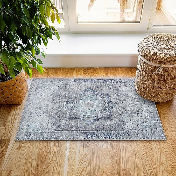 RugOver Machine Washable Area Rug, Pet-Friendly and Non-Slip Indoor Carpet for Kitchen, Bathroom, Living Room, Home Floor Decoration(Seal/Space, 2' x 3')