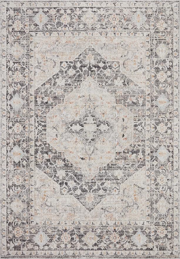Loloi Monroe Collection MON-01 Charcoal/Multi 2'-6" x 5'-9" Accent Rug